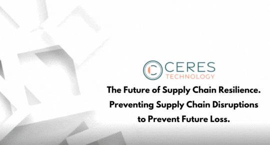 The future of supply chain resilience. How company can prevent supply chain disruptions to prevent future loss-final